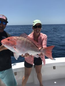 american red snapper populations on the rise