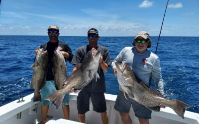 Fired Up Fishing Report – June 2019