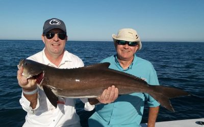 Fired Up Fishing Report – March 2019