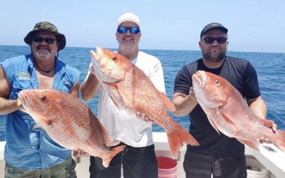 AMAZING WEEK OFFSHORE – Jul 13, 2020