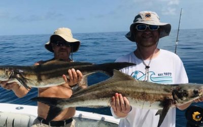 16 FOOTERS AT THE BUOY – Aug 3, 2020