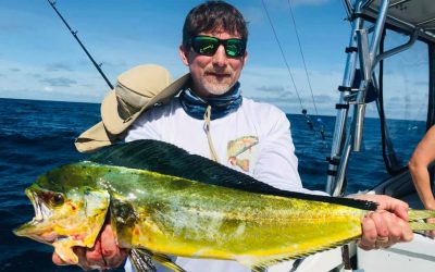 MAHI MAHI MAHI MAHI – Sep 7, 2020