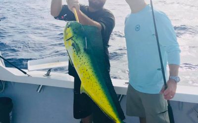 Great mahi-mahi week! Oct 19, 2020