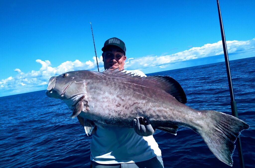 Tarpon, Grouper, Reds, Sharks and More!