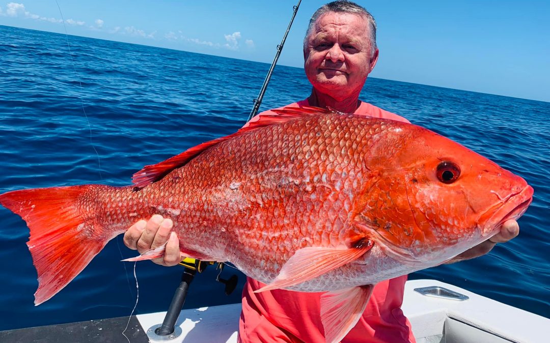 giant red snapper
